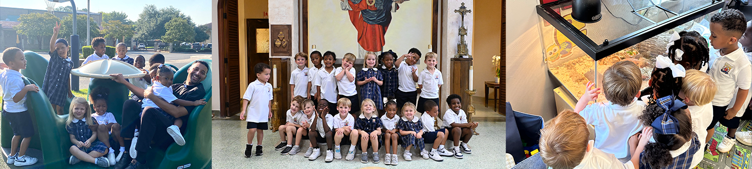 prek for web